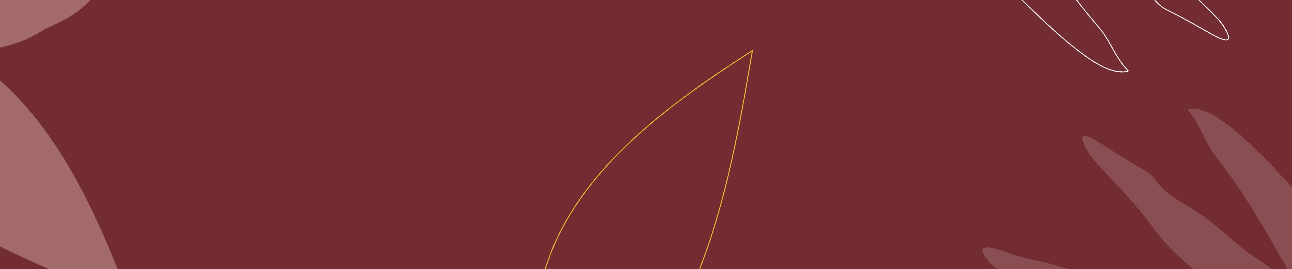 NEO CHOCOLATS banner